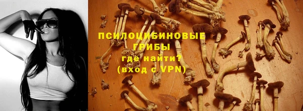 apvp Алексин