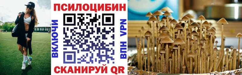 Галлюциногенные грибы Cubensis  Южно-Сухокумск 