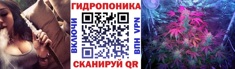 МАРИХУАНА сатива Южно-Сухокумск